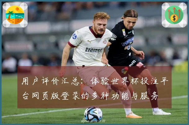 用户评价汇总：体验世界杯投注平台网页版登录的多种功能与服务