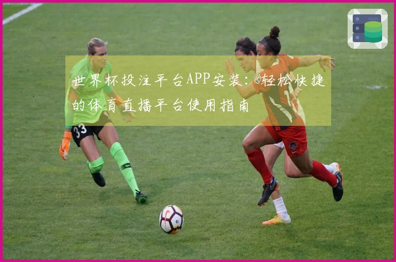世界杯投注平台APP安装：轻松快捷的体育直播平台使用指南