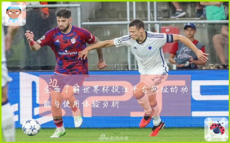 全面了解世界杯投注平台网址的功能与使用体验分析