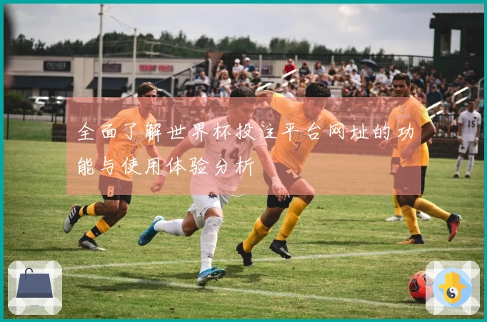 全面了解世界杯投注平台网址的功能与使用体验分析