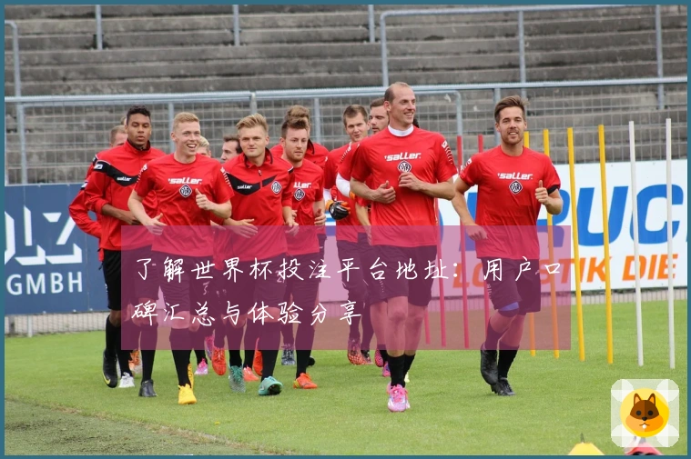 了解世界杯投注平台地址：用户口碑汇总与体验分享