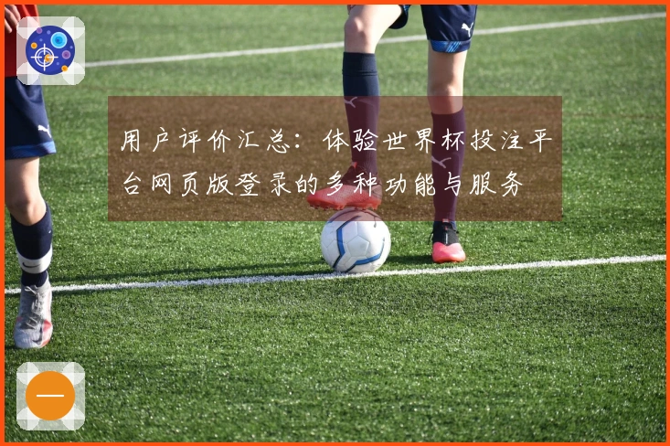 用户评价汇总：体验世界杯投注平台网页版登录的多种功能与服务