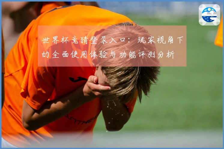世界杯竞猜登录入口：玩家视角下的全面使用体验与功能评测分析